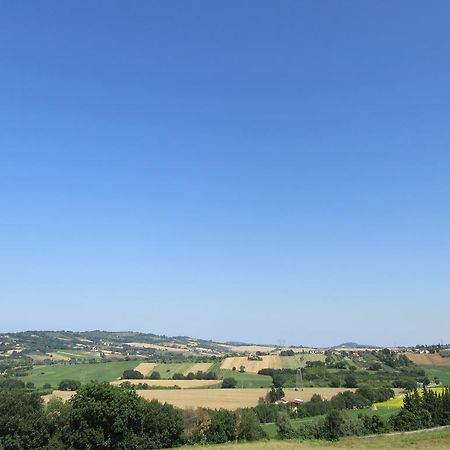 Appartamento L'Ulivo 格拉达拉 外观 照片